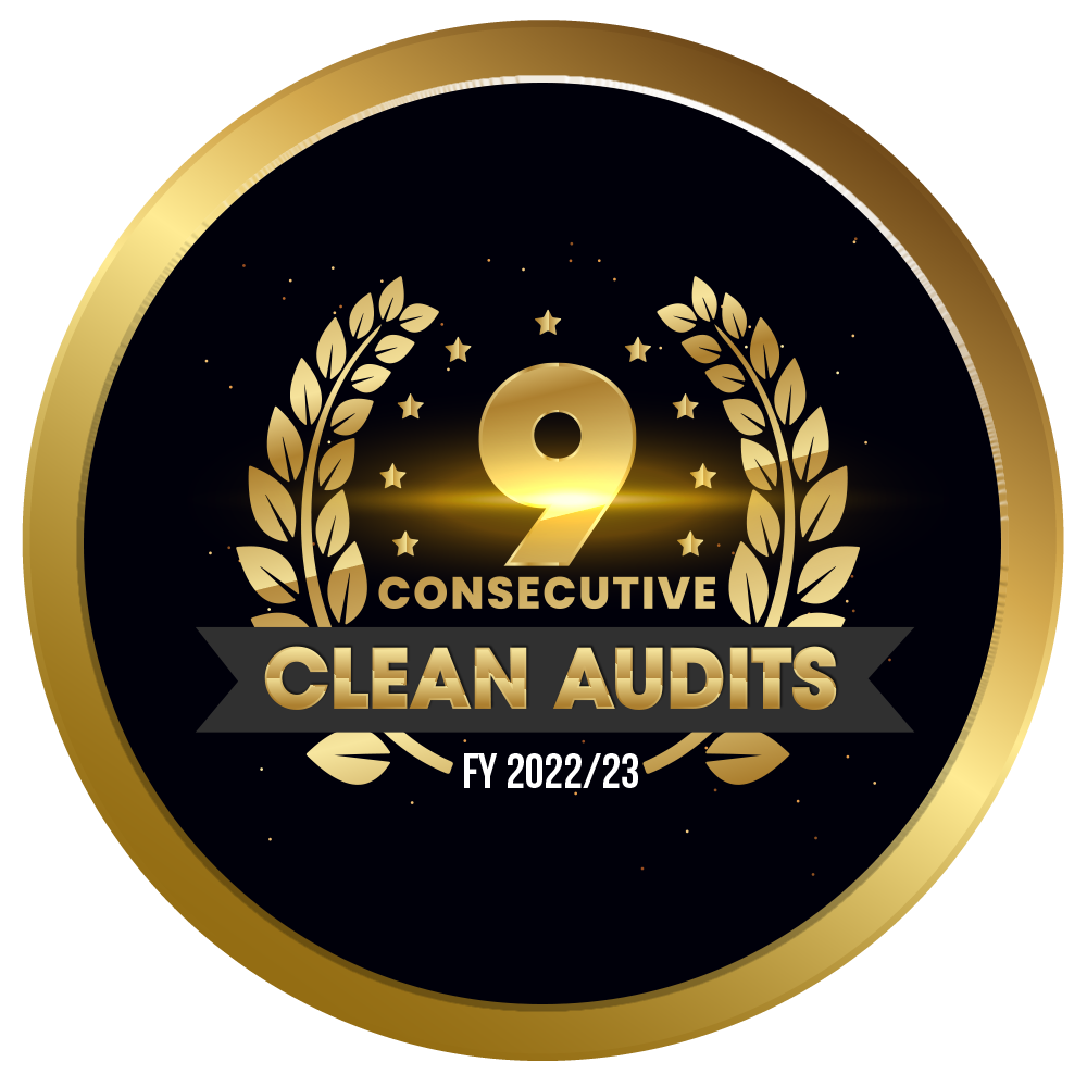 9th Clean Audit Badge